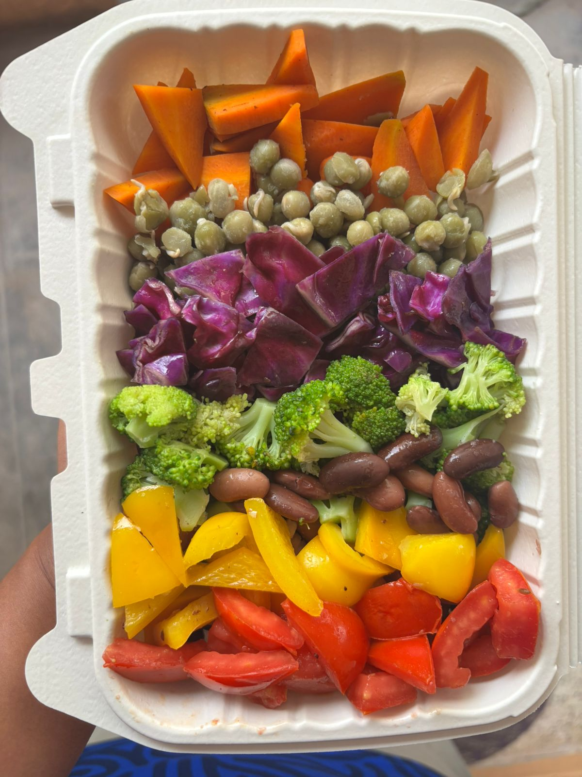 Bhoomiya Bannagalu colourful vegetable salad box from House of Sindhu Bengaluru